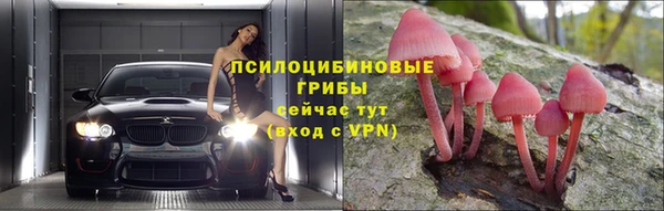 прущий лед Вязьма