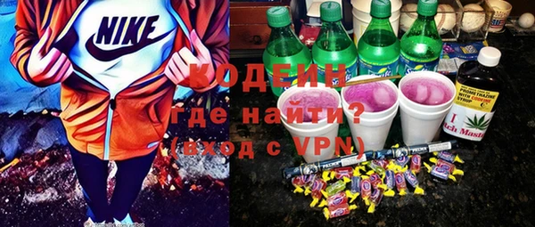 ГАЛЛЮЦИНОГЕННЫЕ ГРИБЫ Вяземский