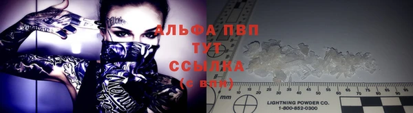 прущий лед Вязьма