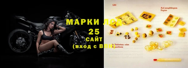 ГАЛЛЮЦИНОГЕННЫЕ ГРИБЫ Вяземский