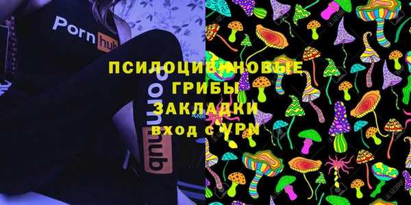 ГАЛЛЮЦИНОГЕННЫЕ ГРИБЫ Вяземский