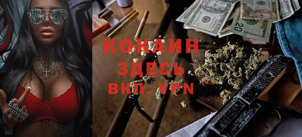 ГАЛЛЮЦИНОГЕННЫЕ ГРИБЫ Вяземский