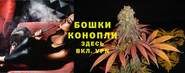 ГАЛЛЮЦИНОГЕННЫЕ ГРИБЫ Вяземский